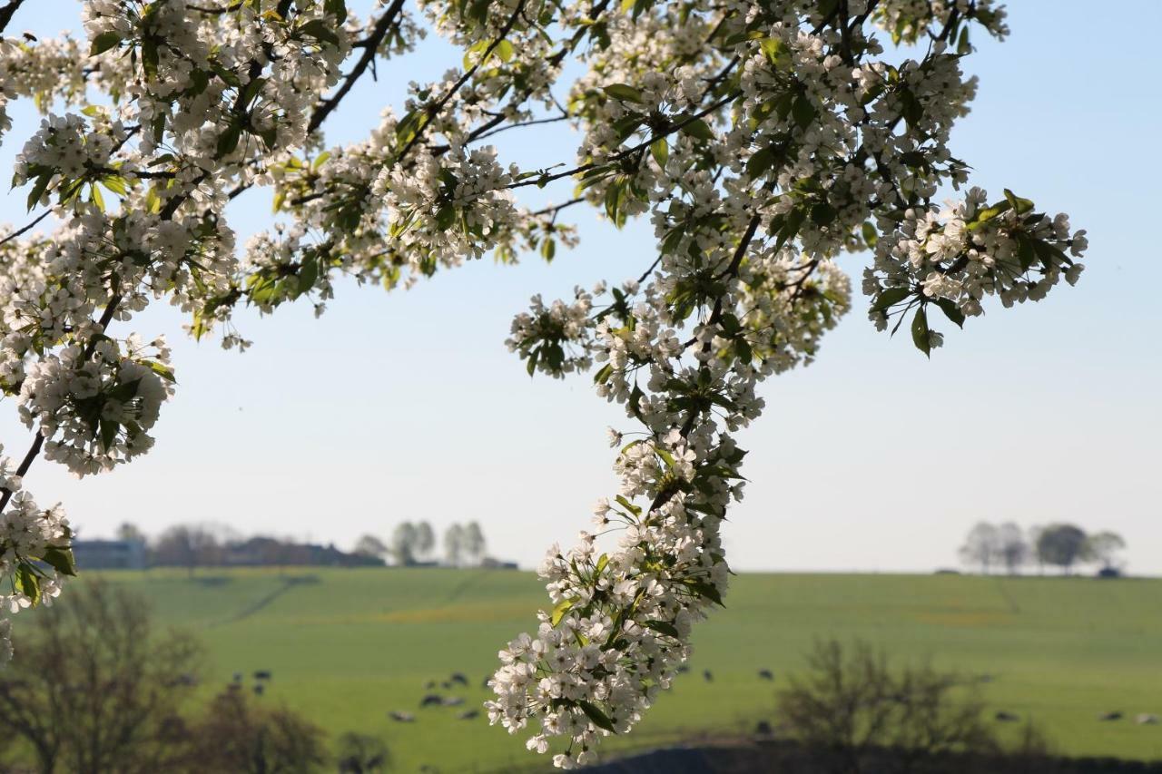 Вілла Domein Hellebeuk Valkenburg/Klimmen Екстер'єр фото